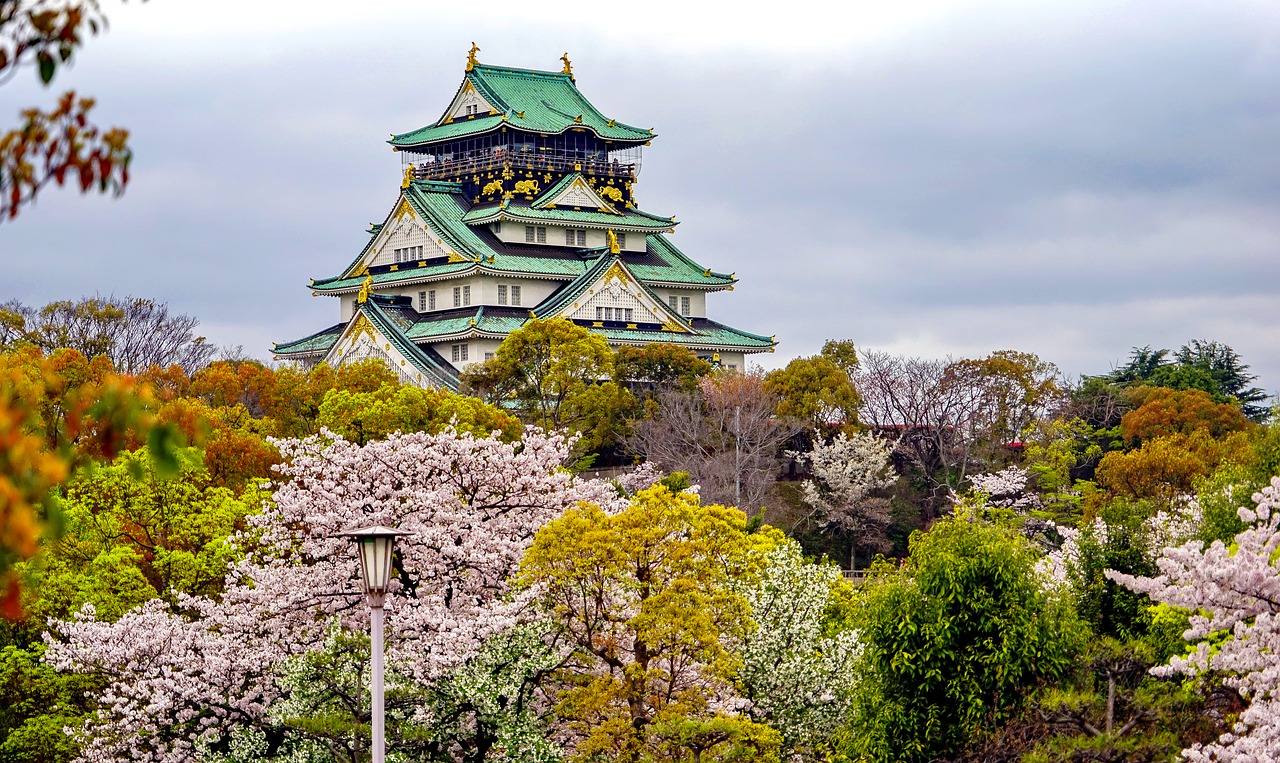 濮阳追寻梦想的起点：为何选择高考后去日本留学？